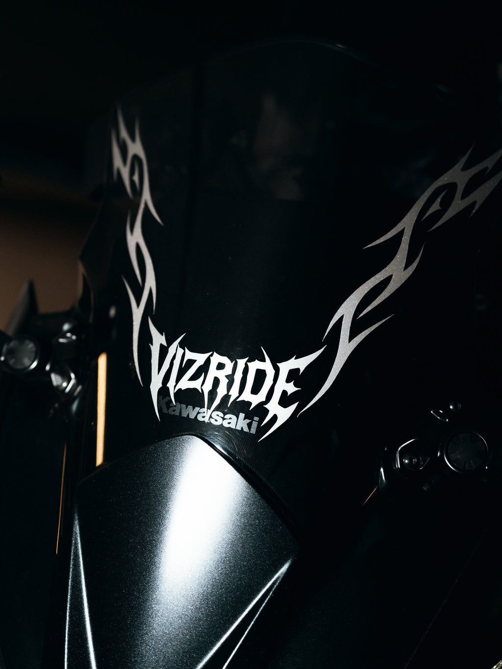 Vizride Windschutz Decor
